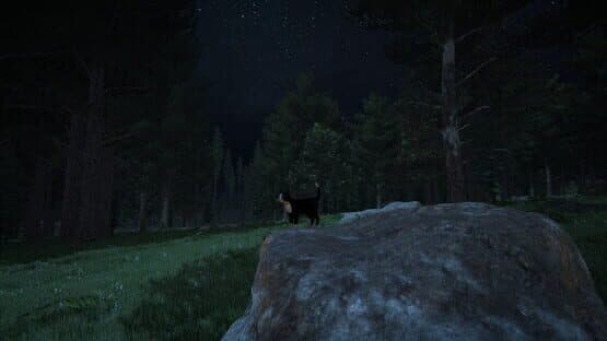 Cat Life — screenshot 1