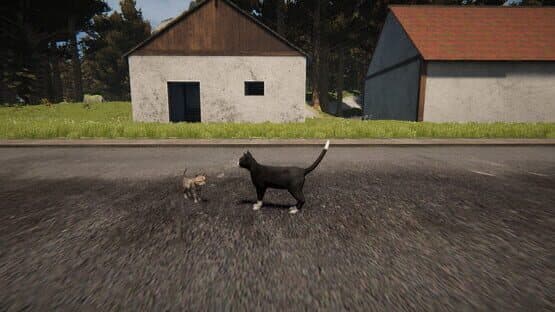 Cat Life — screenshot 2