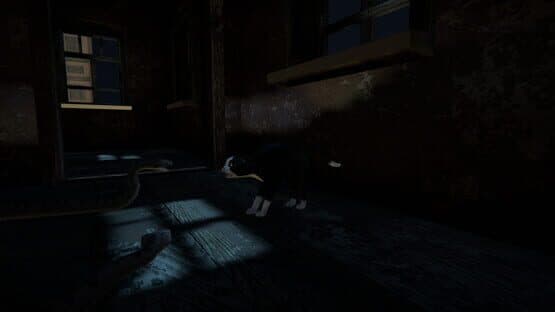 Cat Life — screenshot 6