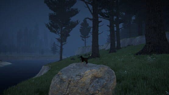 Cat Life — screenshot 8