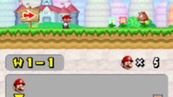 New Super Mario Bros. Wii DS — screenshot 1