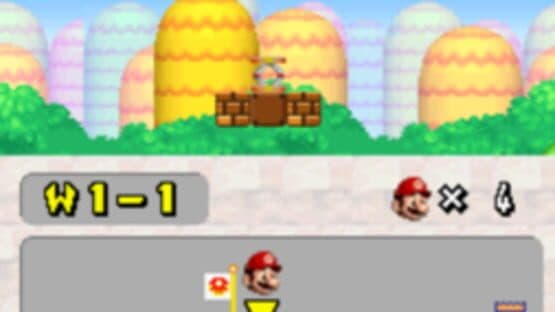 New Super Mario Bros. Wii DS — screenshot 2