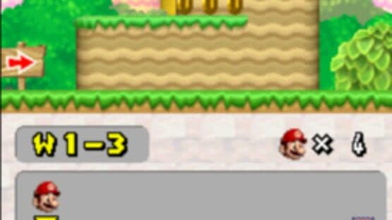 New Super Mario Bros. Wii DS — screenshot 3