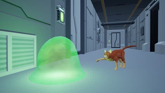 Don't Kill the Cat — screenshot 4