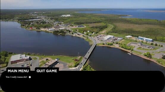 Tracadie Bird Shit — screenshot 2