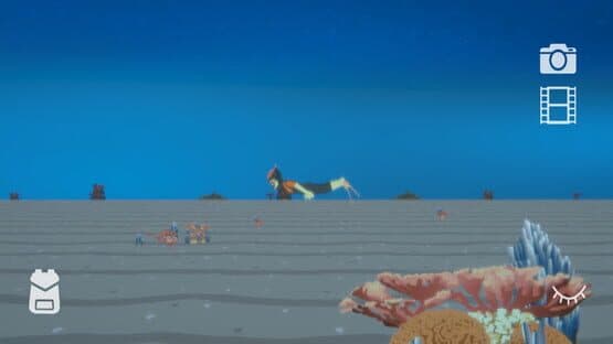 Find the Whales: Español — screenshot 3