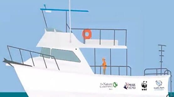 Find the Whales: Español — screenshot 5