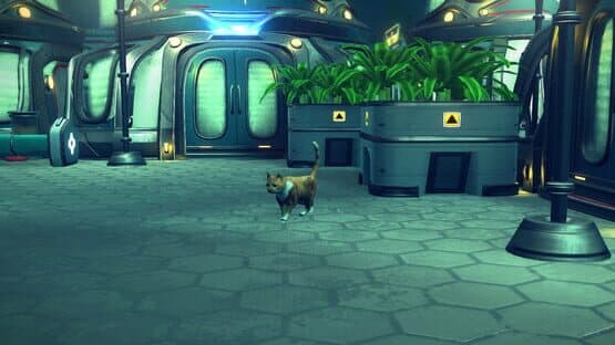 Aquatico: Founder's Pack — screenshot 7