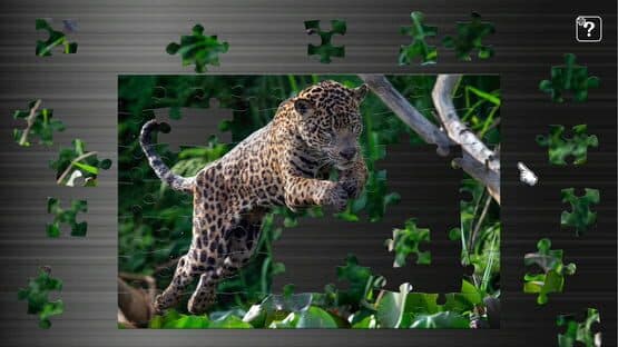 Jigsaw Masterpieces: Big Cat Friends — screenshot 2