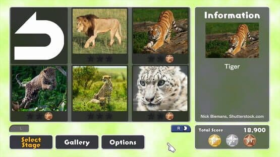 Jigsaw Masterpieces: Big Cat Friends — screenshot 4