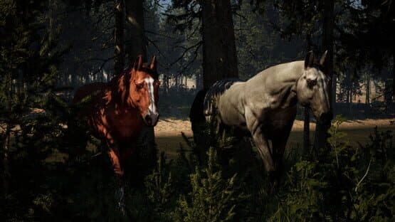 The Cenozoic Era — screenshot 4