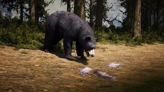 The Cenozoic Era — screenshot 6