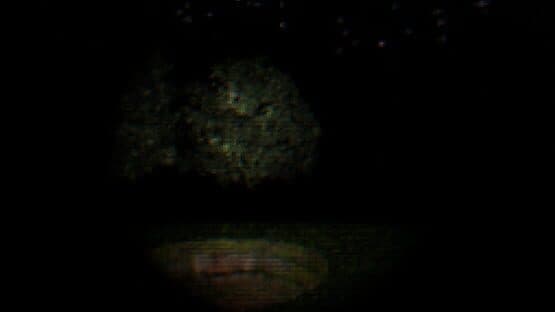 The Hole in the Cabin — screenshot 4