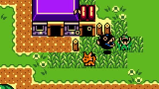 The Legend of Zelda: Link's Awakening DX — screenshot 2