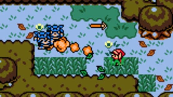 The Legend of Zelda: Link's Awakening DX — screenshot 3