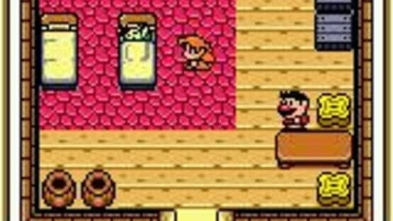The Legend of Zelda: Link's Awakening DX — screenshot 4