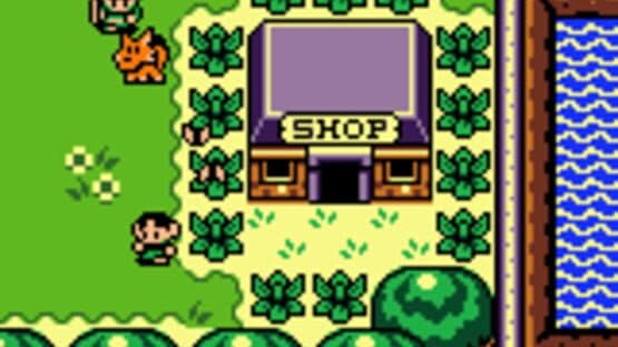 The Legend of Zelda: Link's Awakening DX — screenshot 7
