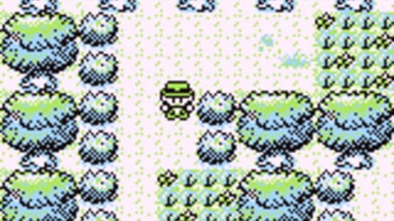 Pokémon Factory Adventure — screenshot 2