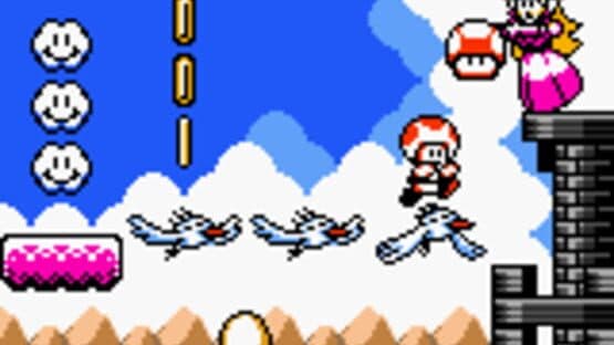 Turtle Bridge — screenshot 3