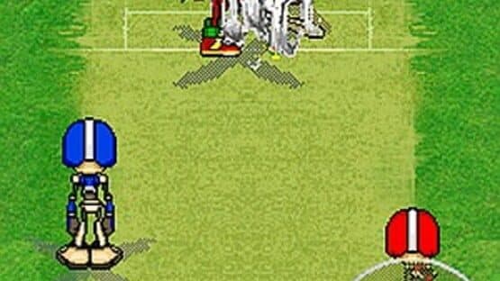 Sonic Cricket — screenshot 1