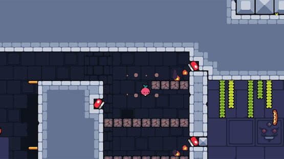 Daily Dadish — screenshot 2