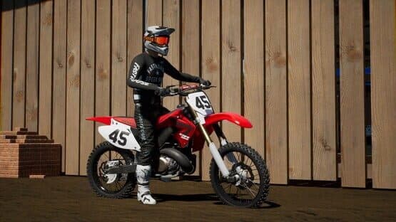 MX vs. ATV: Legends - Honda Pack — screenshot 4