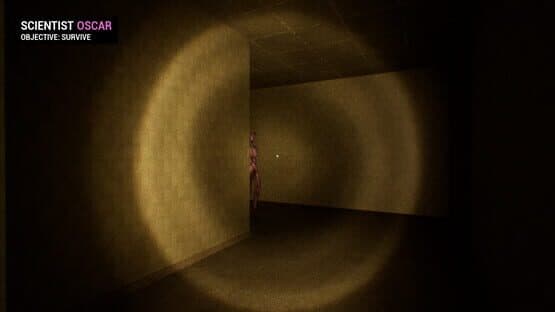 Backrooms: Apprehension — screenshot 3