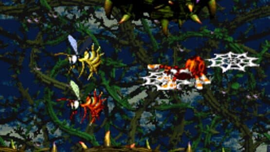 Squitter's Spider Quest — screenshot 5