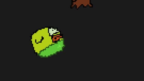 Stonga Bird — screenshot 1