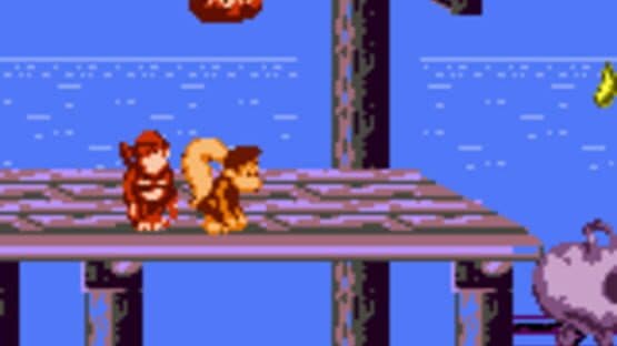 Donkey Kong Land 2: Game Boy Color Edition — screenshot 1