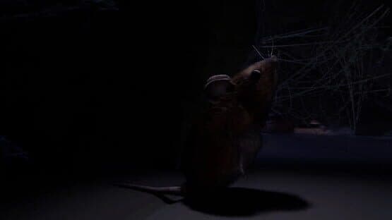 About a Mouse — screenshot 3