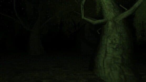 Myristica — screenshot 2