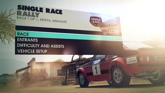 Dirt 3: Colin McRae Vision Charity Pack — screenshot 3