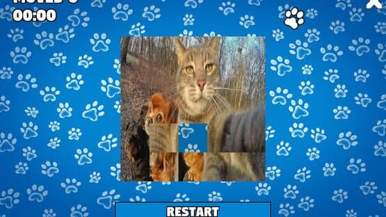 CatDog Puzzle — screenshot 2