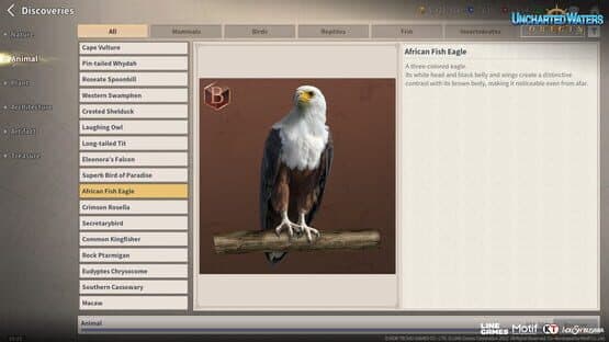 Uncharted Waters Origin — screenshot 8