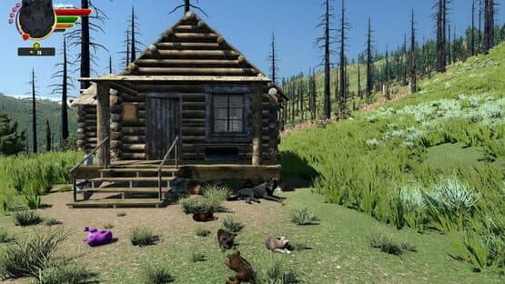 WolfQuest: Anniversary Edition - Lost River — screenshot 6