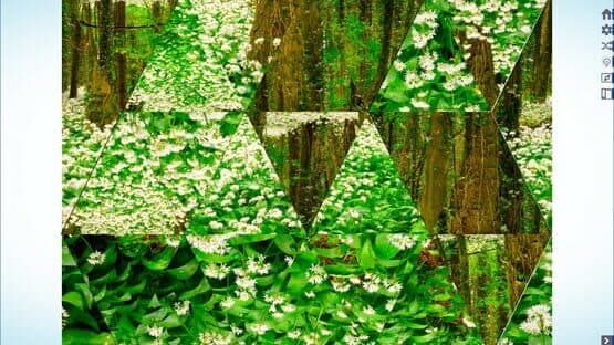 Let's Play Jigsaw Puzzles — screenshot 6