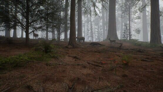 Native Hunter — screenshot 3
