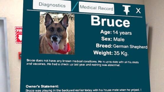 VetVR: Veterinary Simulator — screenshot 2
