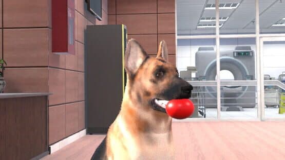 VetVR: Veterinary Simulator — screenshot 5