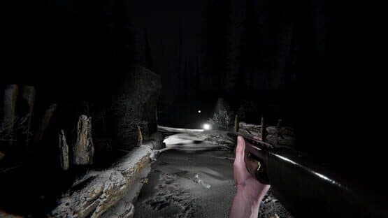 Silence in the Cabin — screenshot 3