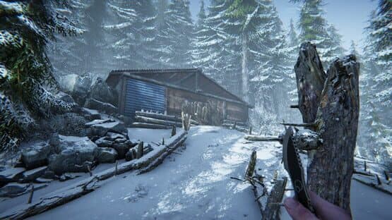 Silence in the Cabin — screenshot 4