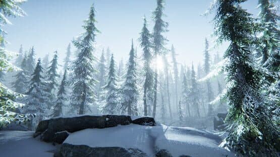 Silence in the Cabin — screenshot 6
