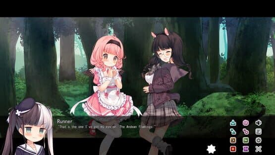 Red List Girls: Andean Flamingo — screenshot 5