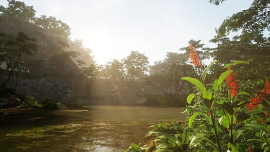 The Wings of Dawn — screenshot 2