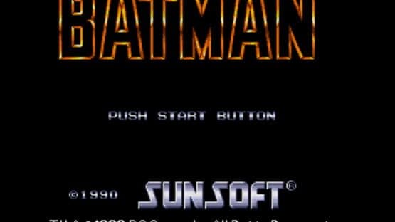 Batman: The Video Game — screenshot 1