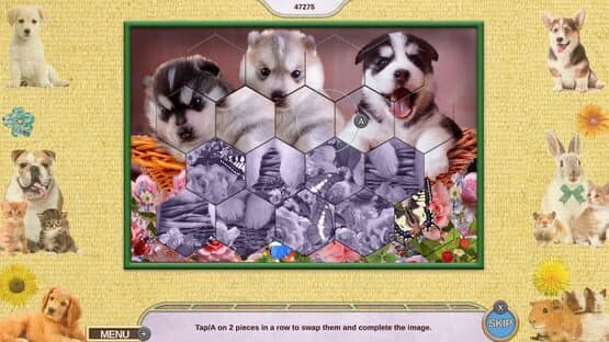 My Lovely Pets: Collector's Edition — screenshot 2