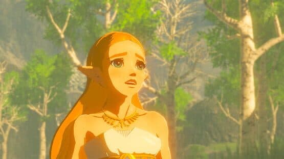 The Legend of Zelda: Breath of the Wild and The Legend of Zelda: Breath of the Wild Expansion Pass Bundle — screenshot 1