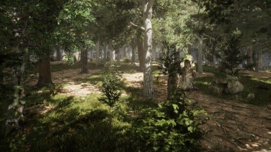 The Quinfall — screenshot 2