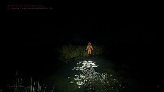 Desolation — screenshot 2